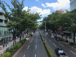 Tokyo Area Guide Omotesando In Shibuya Ku Living Guide In Tokyo Rise Corp