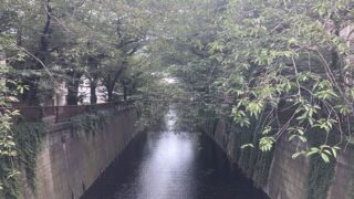 Tokyo Area Guide / NAKAMEGURO, Meguro
