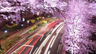 Tokyo Area Guide / ROPPONGI-ITCHOME, Minato