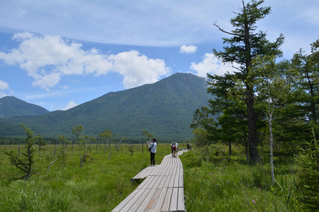 Sekigahara walkways with wooden paths