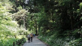 高尾山での観光・ハイキングおすすめルート | Enjoy Holidays in Tokyo